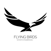 Flying Birds Entertainment