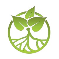 Island Root Kava Bar Inc.