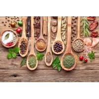 GB Herbs logo - Similar company to Hobby Herbs