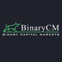 Binary Capital Markets logo - Similar company to 369X.Io