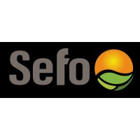SEFO International LLC logo - Similar company to Anfex Promptly