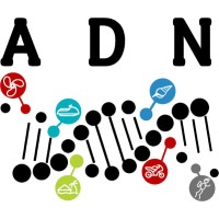 Aline Development Network logo - Similar company to Tallin Pi