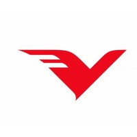 Vision India Services Pvt. Ltd. logo - Similar company to Vision