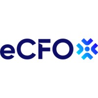 eCFO LLC logo - Similar company to Texasfile