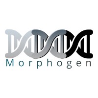 Morphogen Medical Communications logo - Similar company to Ana Fareed