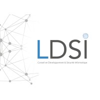 LDSI logo - Similar company to Sdi06