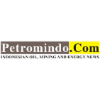 The Petromindo Group
