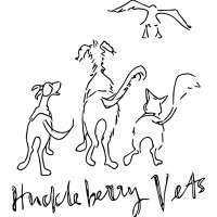 Huckleberry Vets logo - Similar company to The Vet Project