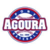 Agoura Pony Baseball logo - Similar company to Daffodil Digital