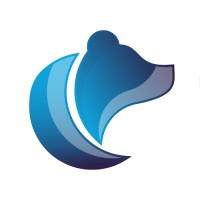 TIZ ICE logo - Similar company to Ok Consulting