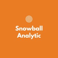 Snowball Analytic logo - Similar company to Snowball App