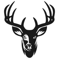 Adira Solutions LLC logo - Similar company to Adira Solutions