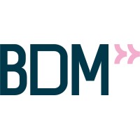 BDM Consultores logo - Similar company to Kipling Consulting
