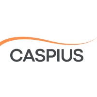 Caspius, LLC logo - Similar company to 11Th Search