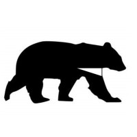 Black Bear Llp