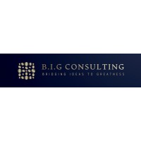 B.I.G Consulting logo - Similar company to Siontec