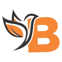 Brainiers College logo - Similar company to Surge Techs