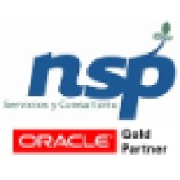 Nsp Servicios Y Consultoría