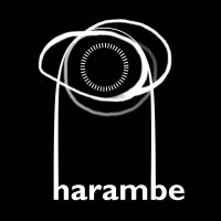 Harambe Production Company logo - Similar company to Normal. (Production Company I Creative Agency)