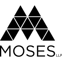 Moses LLP Chartered Professional Accountants logo - Similar company to Cfe Guru