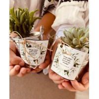 El Amien II logo - Similar company to Sanaflow