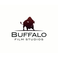 Buffalo Film Studios logo - Similar company to Buffalo Studios, Llc
