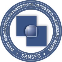 Shota Rustaveli National Science Foundation of Georgia (SRNSFG) logo - Similar company to Syntax