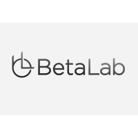 Beta Lab Limited logo - Similar company to Mateai