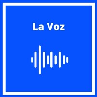 La Voz del Turismo Chile logo - Similar company to Study The Rainforest