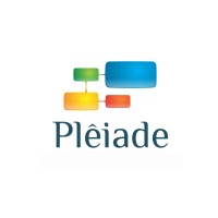 Plêiade Consultoria logo - Similar company to Instituto Abaçaí