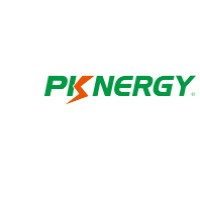 Shenzhen Pknergy Energy Co,Ltd logo - Similar company to Pknergy Energy Co., Ltd