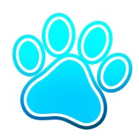 King Elton LLC logo - Similar company to Immersive Entertainment