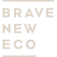 Brave New Eco logo - Similar company to Studio Wonder