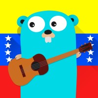 Golang Venezuela logo - Similar company to Coalition For Venezuela