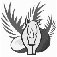 Kindle Coconut logo - Similar company to Project Kindle