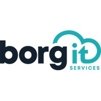 Borg ITS logo - Similar company to Tiny Explorer