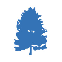 Blue Pine Partners, LLC logo - Similar company to Hunter Trust