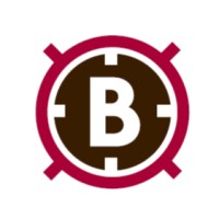 Bold Property Management Solutions logo - Similar company to Prosult