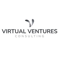 Virtual Ventures Consulting logo - Similar company to Baevich Design Studio