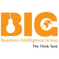 Business Intelligence Group logo - Similar company to Data Kaizen