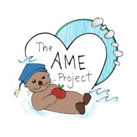 The Ame Project logo - Similar company to Comprehensive Consulting Solutions Llc.