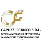 Capuzzi Franco S.R.L. logo - Similar company to Jintai Sliding Bearing - Btu Ball Transfer Units,Sliding Bearings-China Manufacturer
