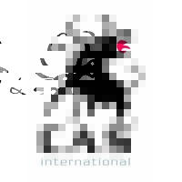 CAS International (Comité Anti Stierenvechten) logo - Similar company to Powerbrokers