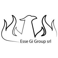 ESSE GI GROUP SRL logo - Similar company to Esse Group S.R.L.
