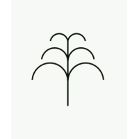 Sprout Therapy logo - Similar company to Wolf+Friends (A Dotcom Therapy Co.)