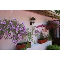 Kafana Kafana