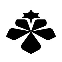 Yankov Club logo - Similar company to Strimko