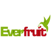 EVER FRUIT EXPORTS PVT. LTD. logo - Similar company to Gofrutto