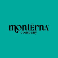 Montérna logo - Similar company to Wt Publicidade