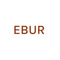 EBUR logo - Similar company to Project 213A